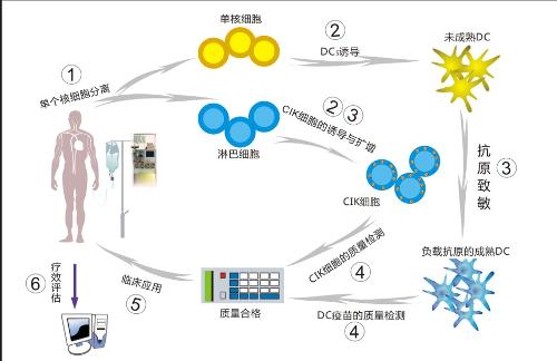 什么是生物免疫疗法