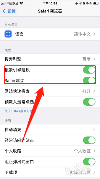 如何开启Safari浏览器浏览建议功能?