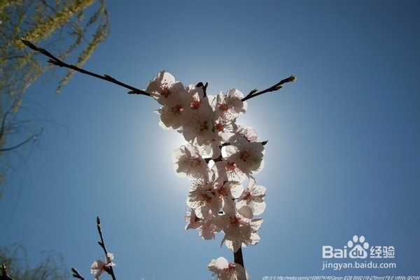 北京旅游攻略：[22]海淀公园