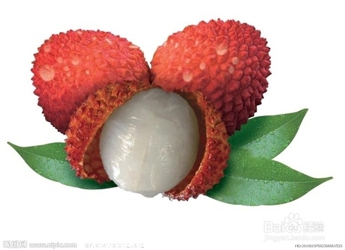 六类体质的夏季养生法