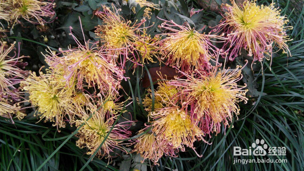 高血压者要注意的几件事