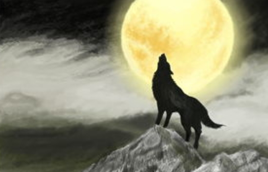 狼的精神经典十六字是什么