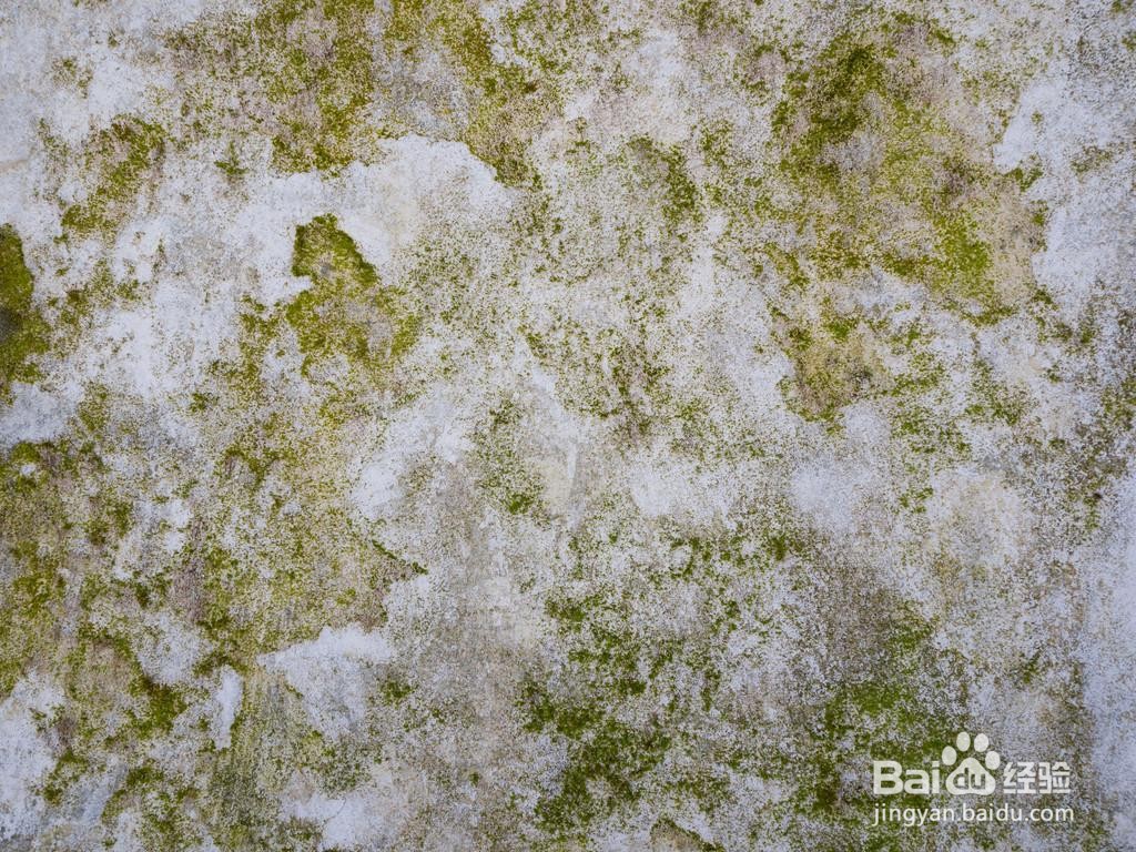 水泥地长青苔有什么办法去掉