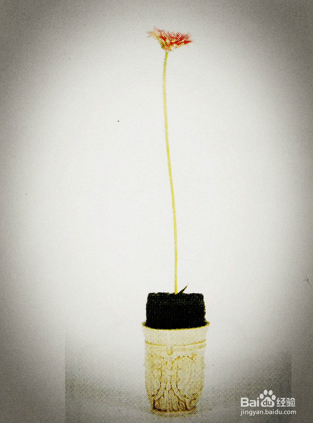 怎样插制三角形的花型