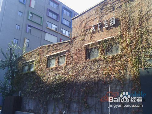中兴U950评测--500万背照式拍照效果测试攻略