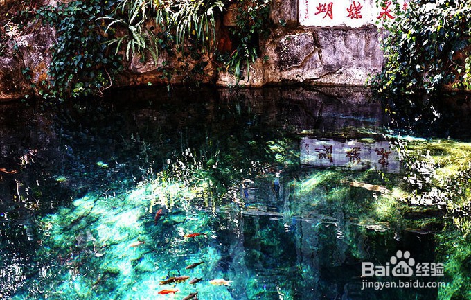 云南大理是每个情侣都梦想去的地方。