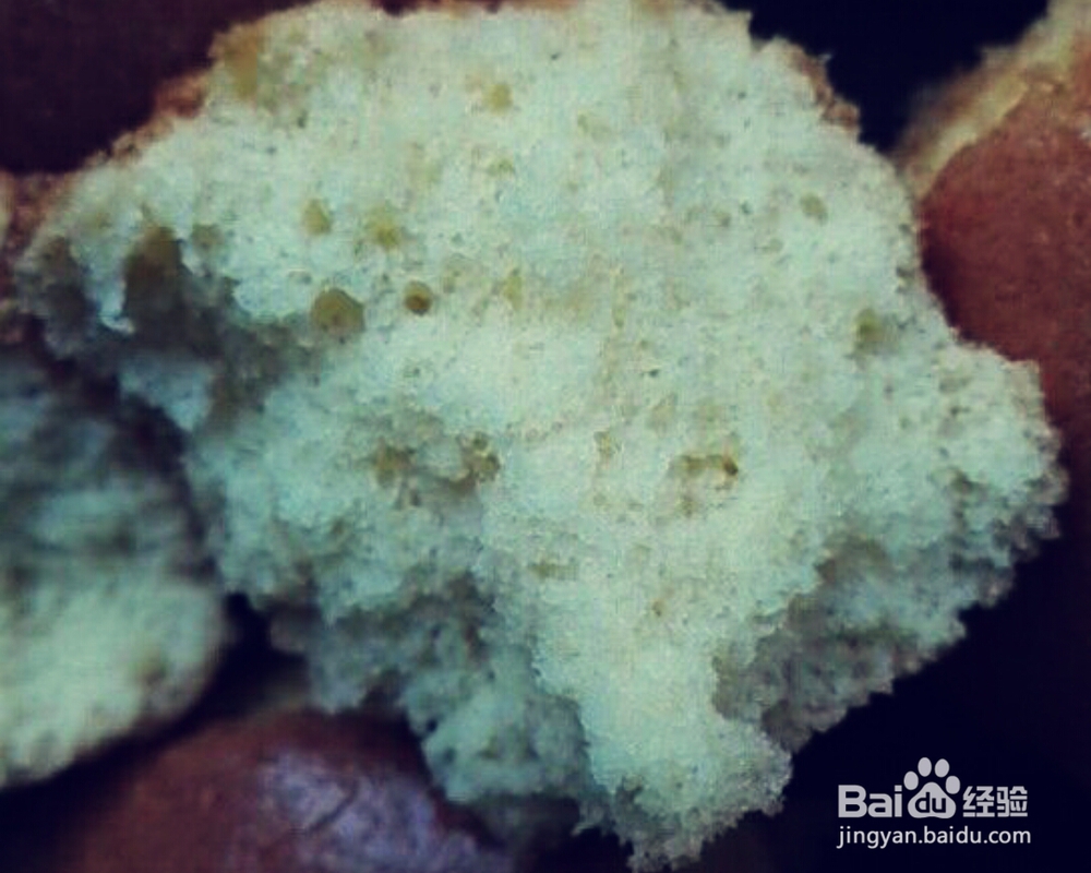 适合新手做的小蛋糕