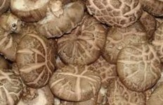 中医盘点11种最常见的一定要吃的抗癌食物