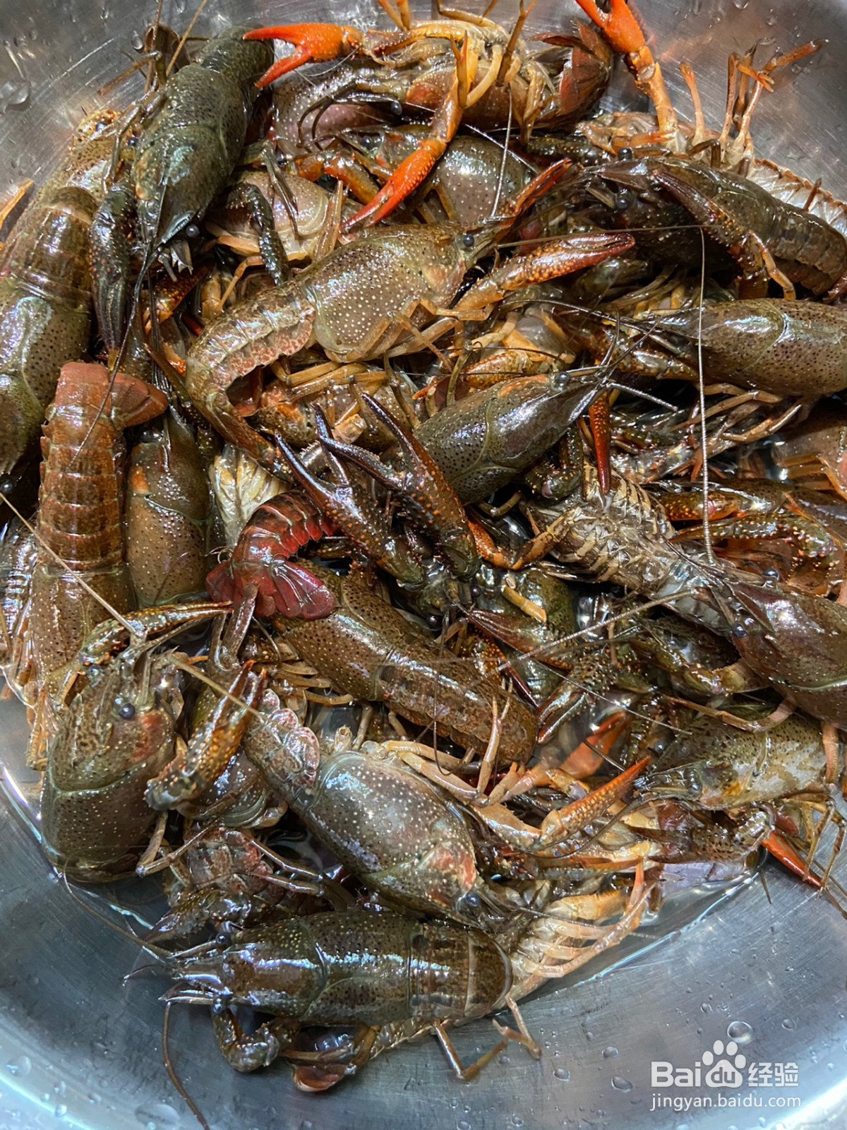 麻辣小龙虾的做法