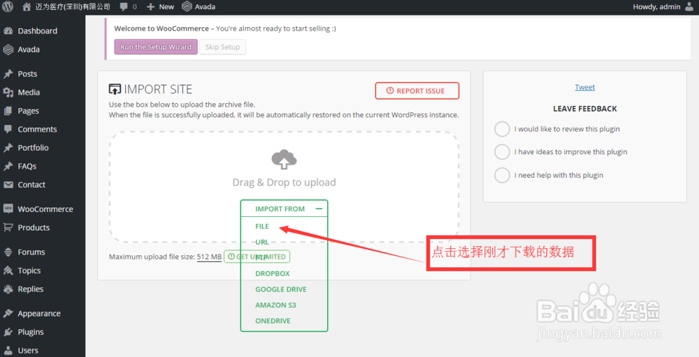 导入Wordpress Avada主题Demo的方法
