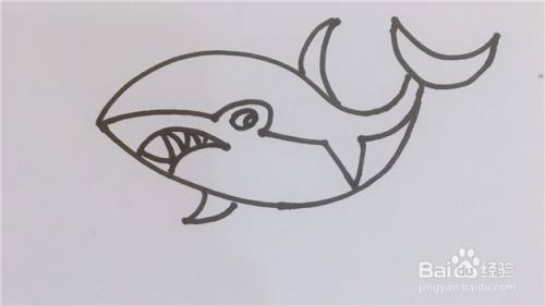大白鲨怎么画才好看