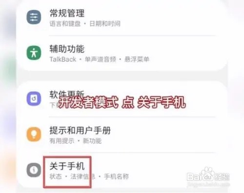 三星s21如何查看开发者选项
