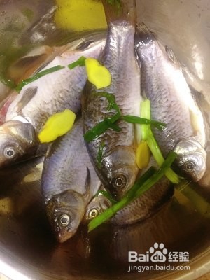 食补养生简阳羊肉汤的做法