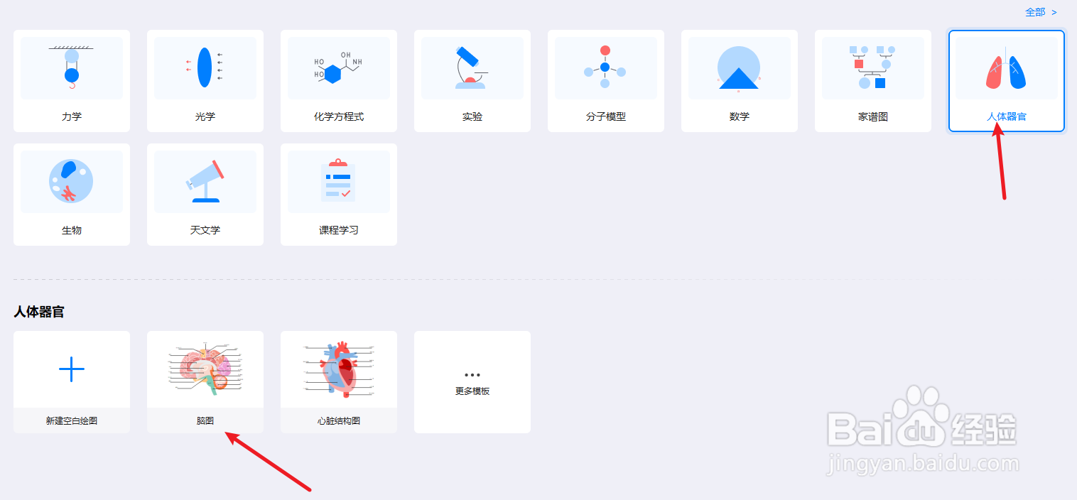 怎么用亿图图示软件绘制“人体大脑图”