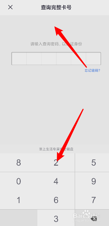 掌上生活app如何查询信用卡号