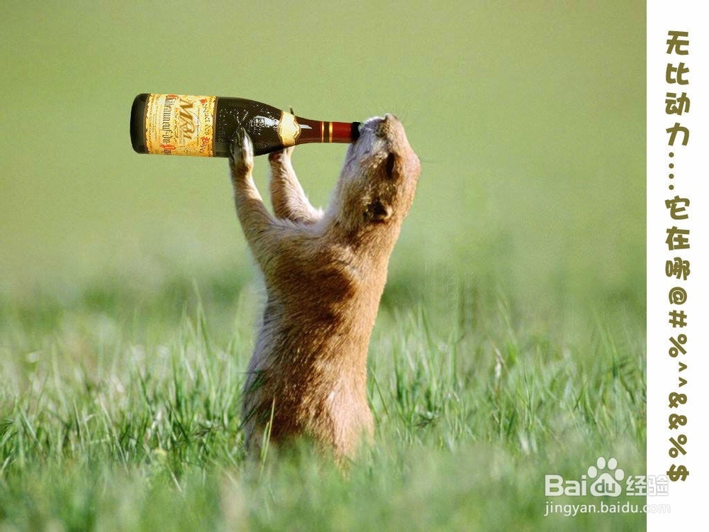 如果你总是心情不好怎么办呢?