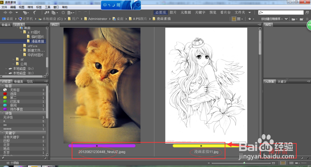 Adobe--Bridge cs6 使用攻略：[5]批重命名