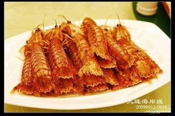 去老铁山风景区一日游