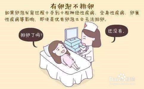 如何测出排卵日