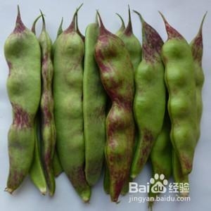 哪种蔬菜烹调不当易中毒