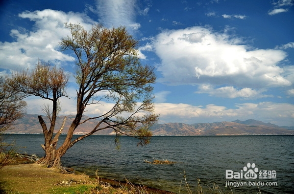 大理洱海住宿游玩攻略！