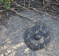 建筑放线员需要的技能：[1]成长日记