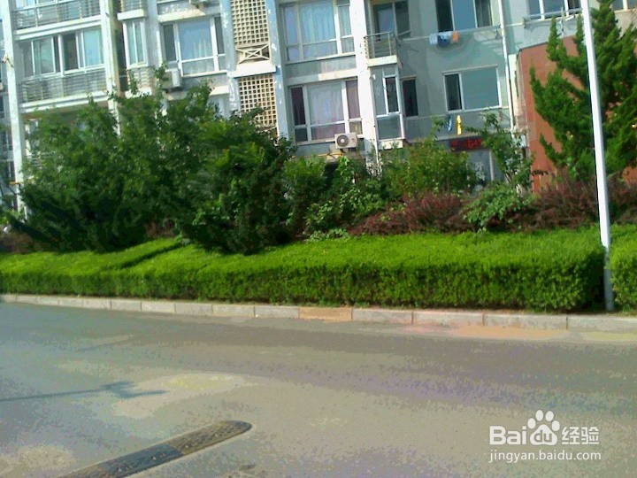 居住小区车辆行驶要注意安全