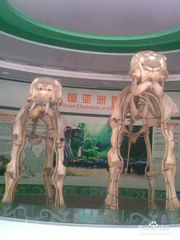 西双版纳景点介绍