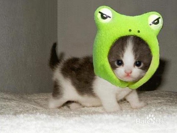 过年给父母买什么好【云朵分享】