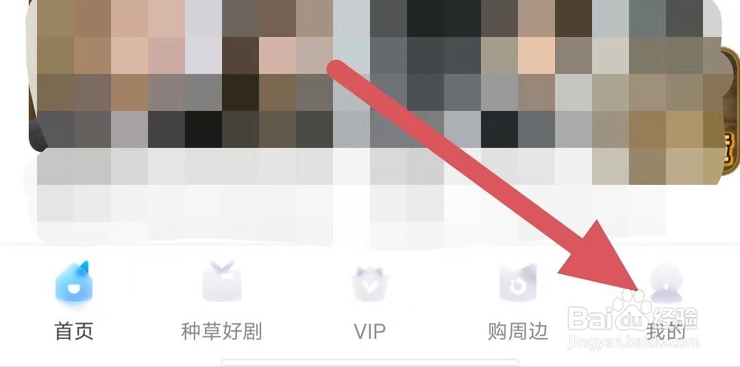 埋堆堆如何查看账号资料