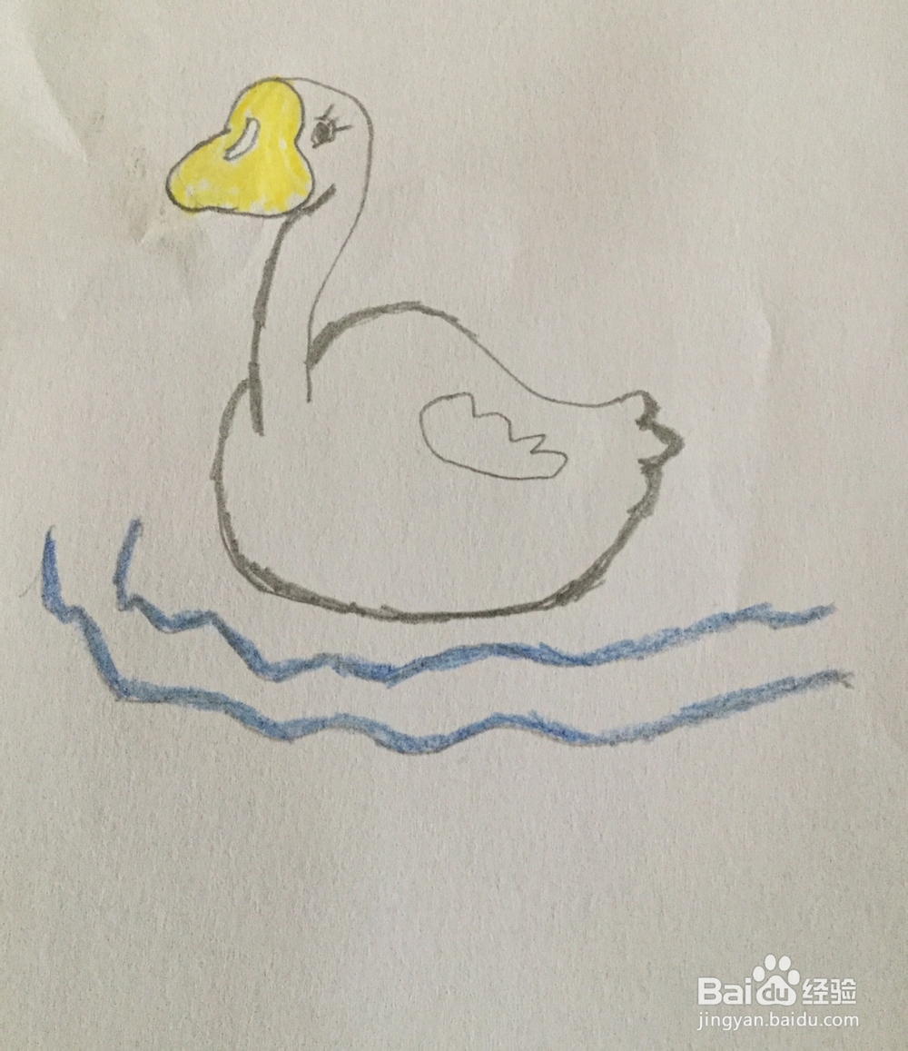 白天鹅简笔画教程