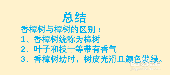 怎么辨别香樟树与樟树