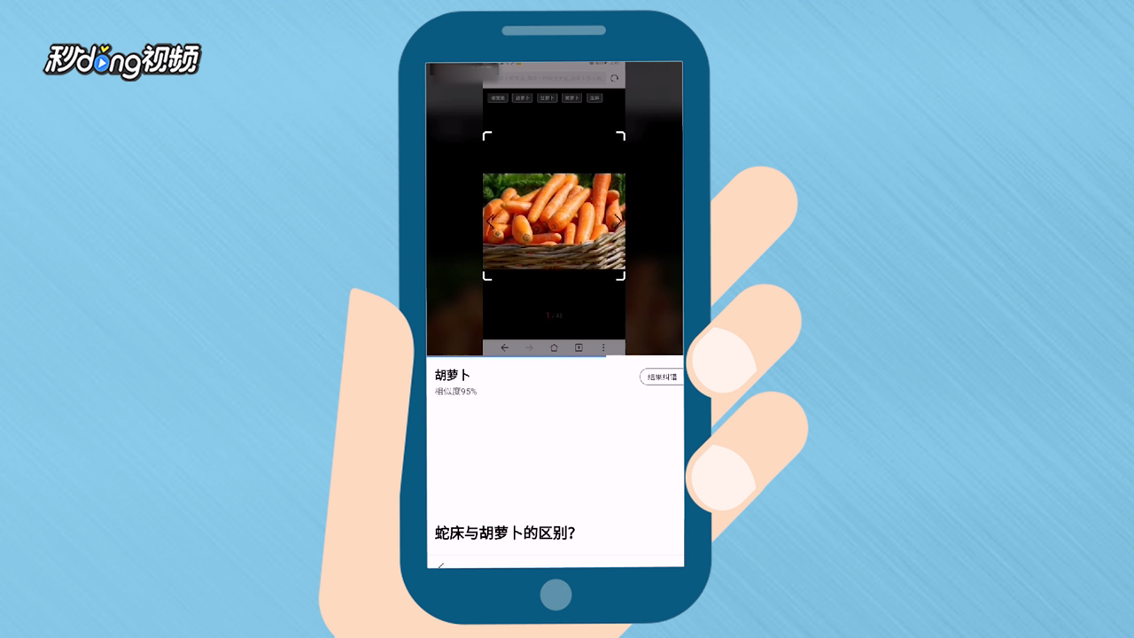 手机如何使用谷歌以图搜图