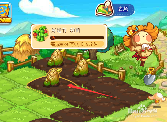 洛克王国望月祈福活动攻略