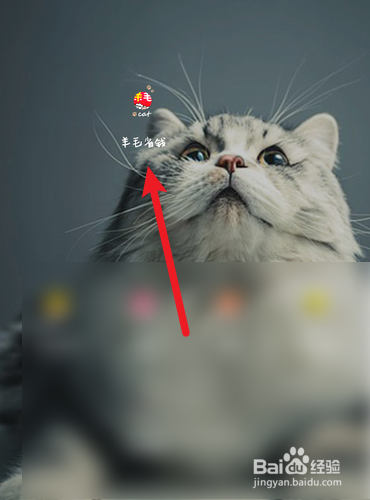 羊毛省钱怎么查找当前版本