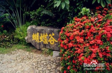 带父母三亚旅游攻略