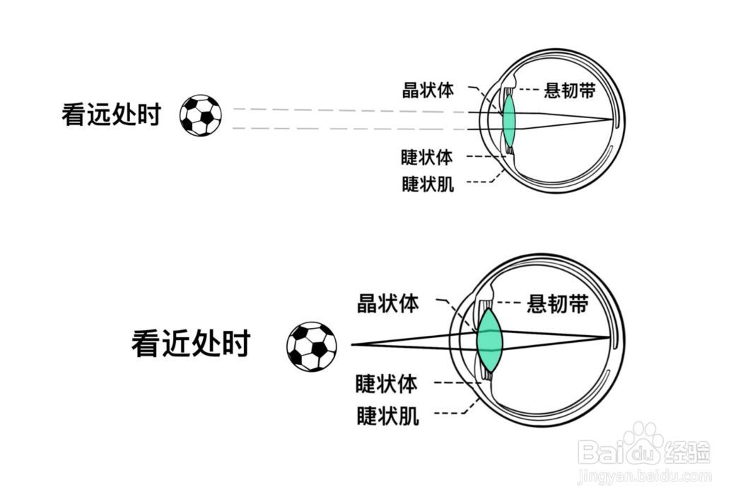 什么是3D视觉训练？