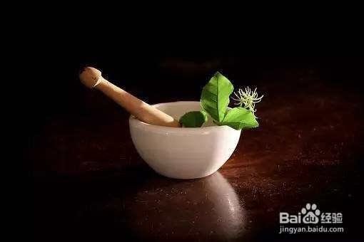 如何用中药药理的研究方法