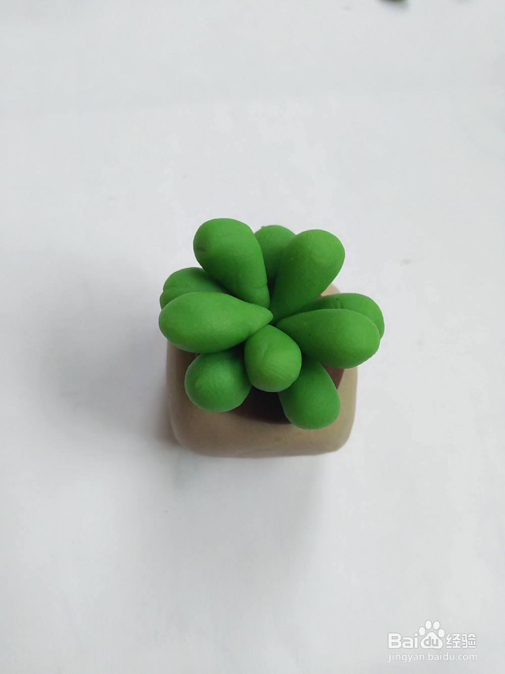 绿色多肉小盆栽怎么做