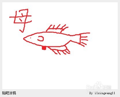 狮王斗鱼怎么分公母