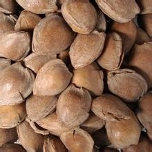 蔚县有哪些特产