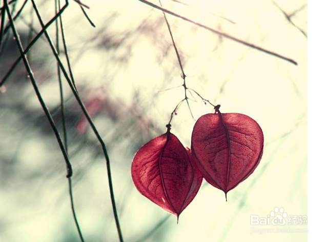 萌新怎样做好自媒体经营