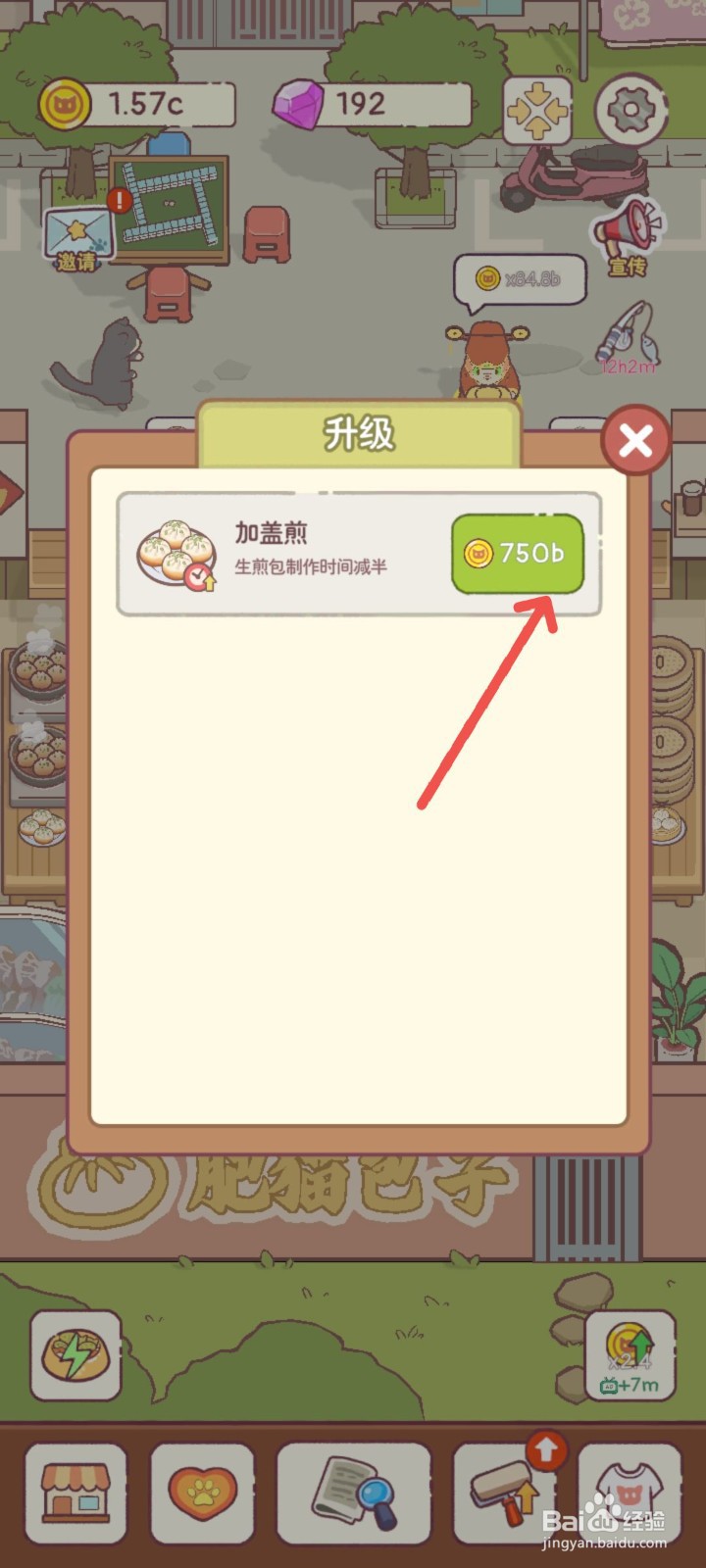 猫咪零食吧怎么用加盖煎包子的方法提高收入