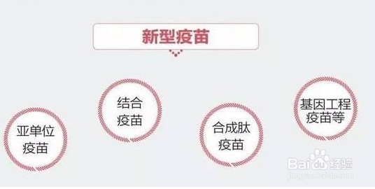 疫苗接种有哪些基本的常识