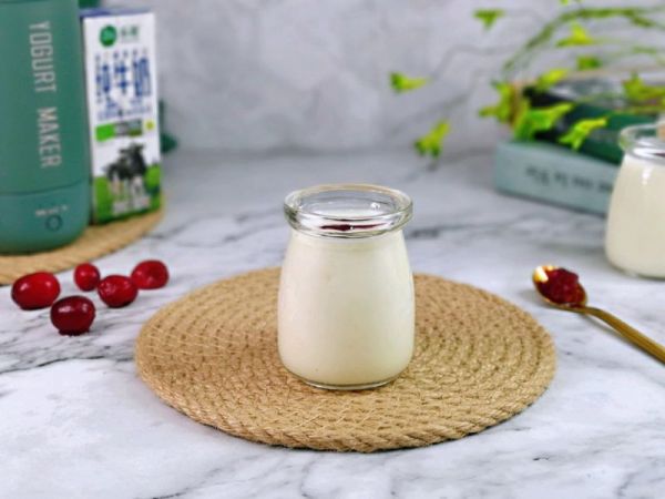 自制蔓越莓果酱酸奶