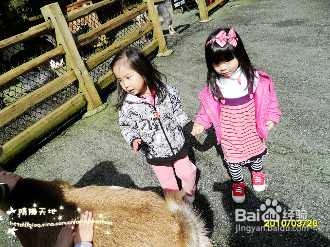 拾海的孩子&亲亲小动物(组图)