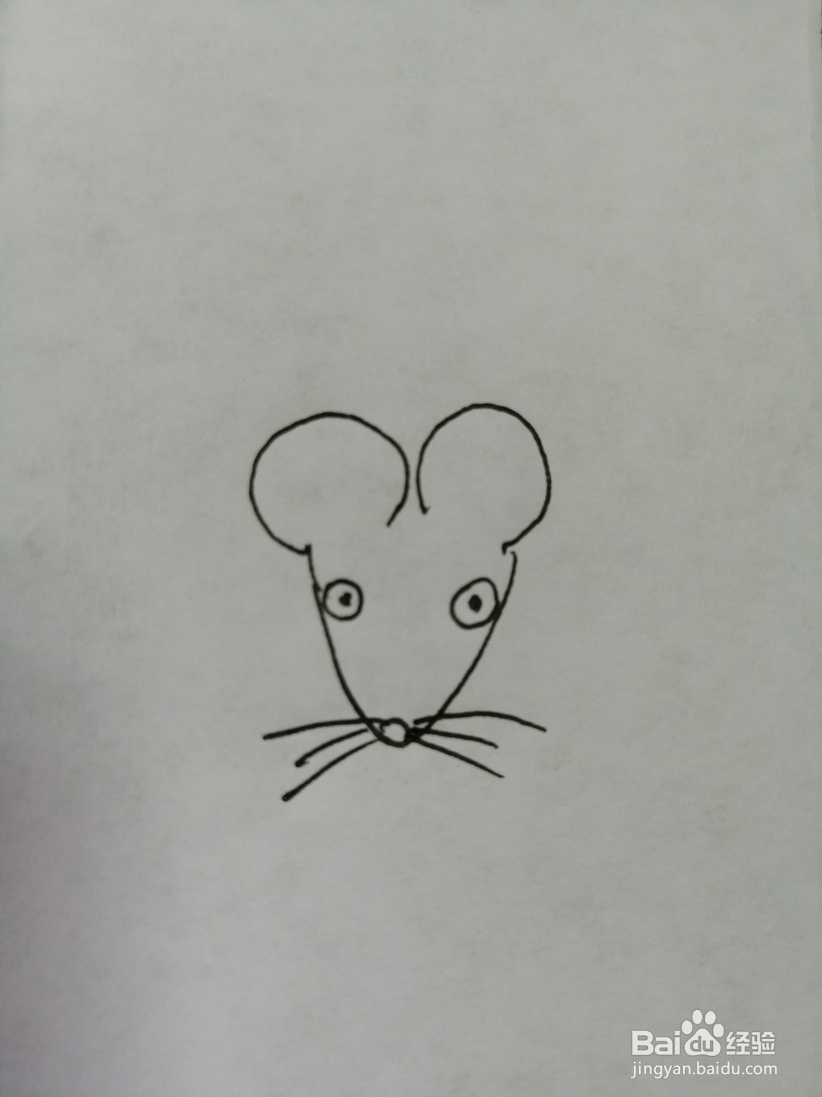 简笔画小老鼠怎么画