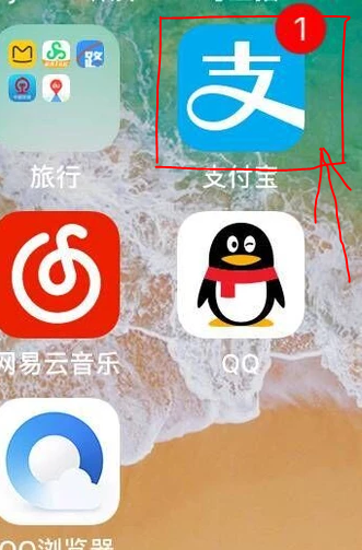 哈罗单车免押卡怎么退