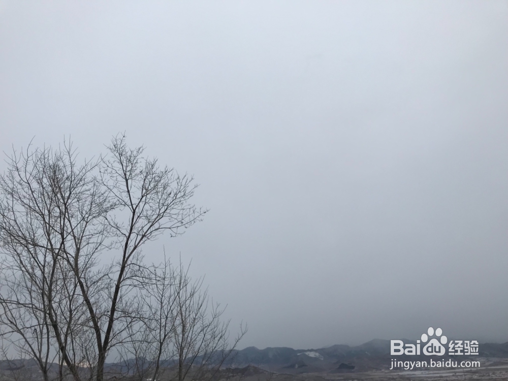 怎样拍摄风雪中的景色