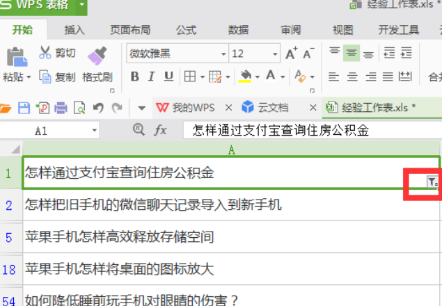 wps中文怎么筛选关键字